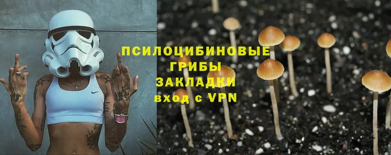 OMG tor  Велиж  Псилоцибиновые грибы Magic Shrooms 